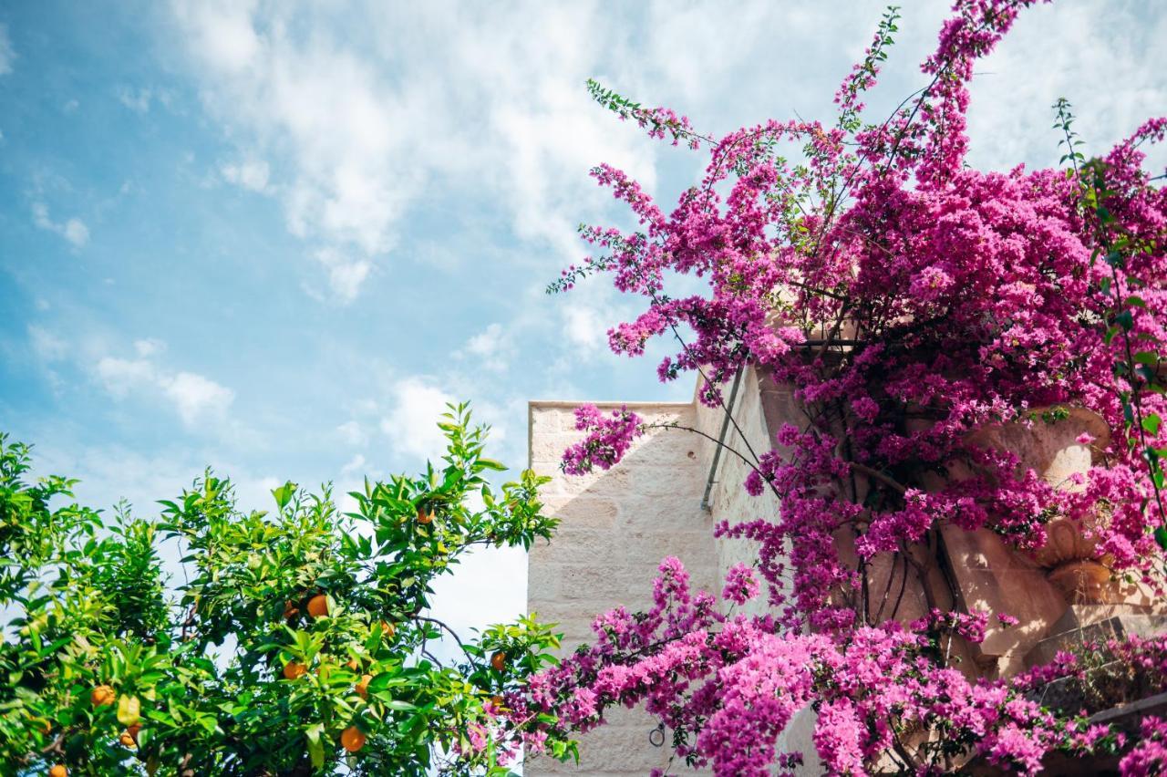 Tenuta Tresca Suites - Dimora Storica San Cassiano  Εξωτερικό φωτογραφία